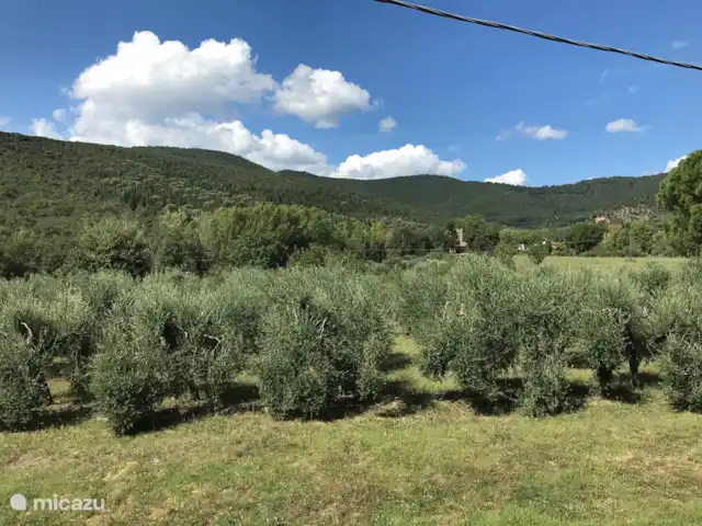 Villa Roccace - La Cucina | Italie, Ombrie, Tuoro sul Trasimeno - appartement Oliveraie