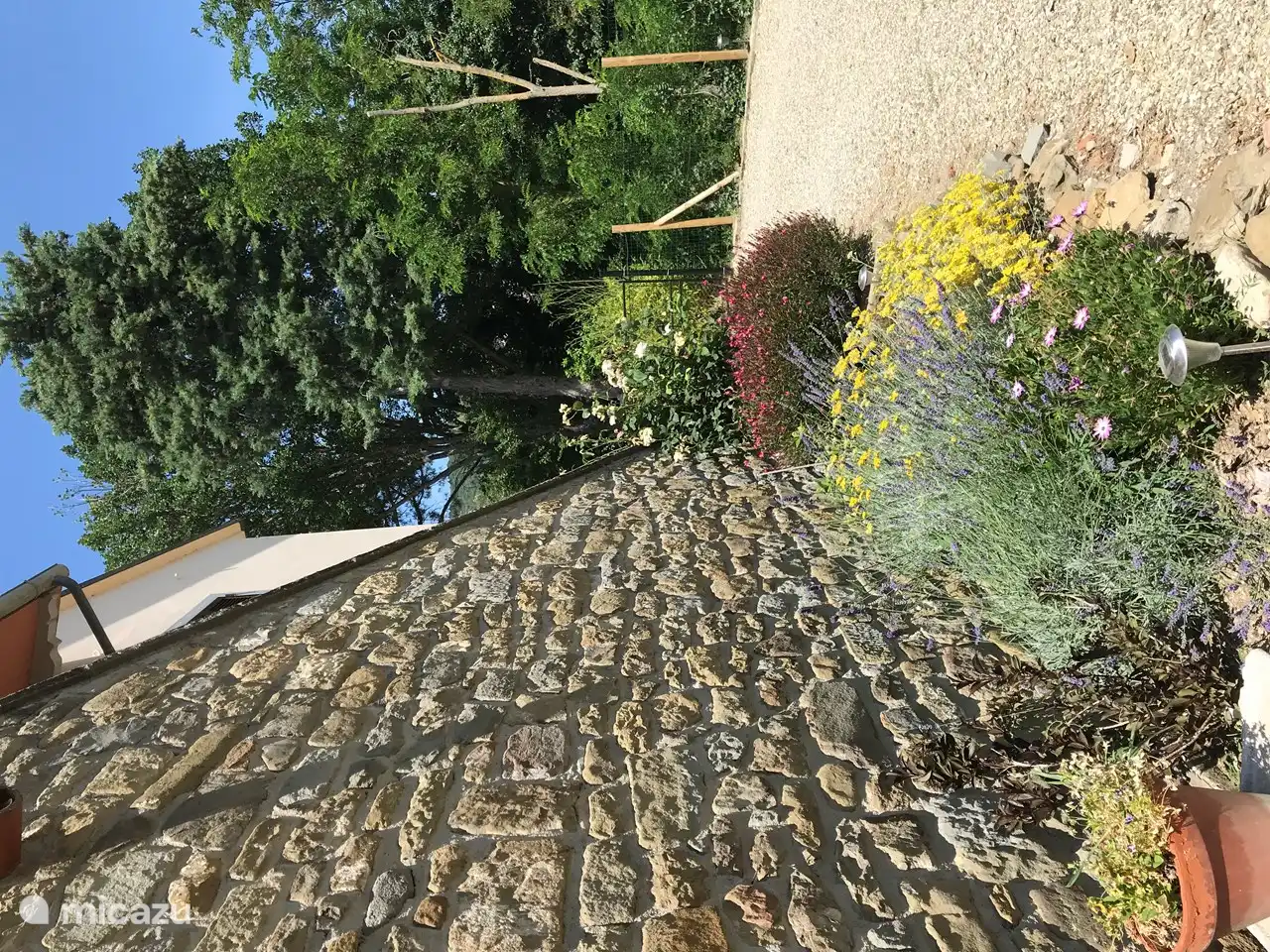 Tuin onderaan de stenen trap