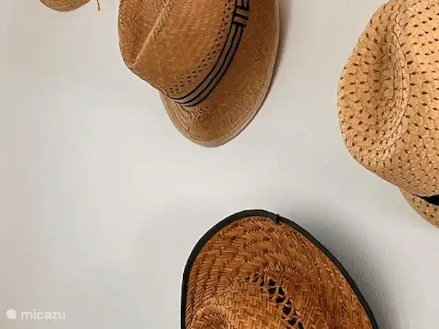 Casa de vacaciones Casa Rinsma en Portugal, Algarve, Vale da Telha - villa