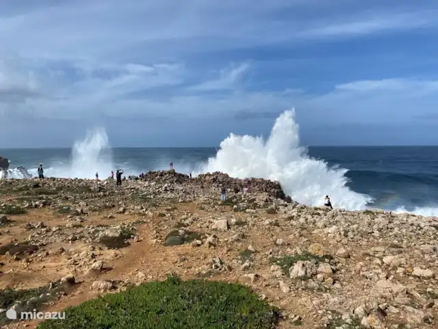 Casa de vacaciones Casa Rinsma en Portugal, Algarve, Vale da Telha - villa Olas en Carrapateira.