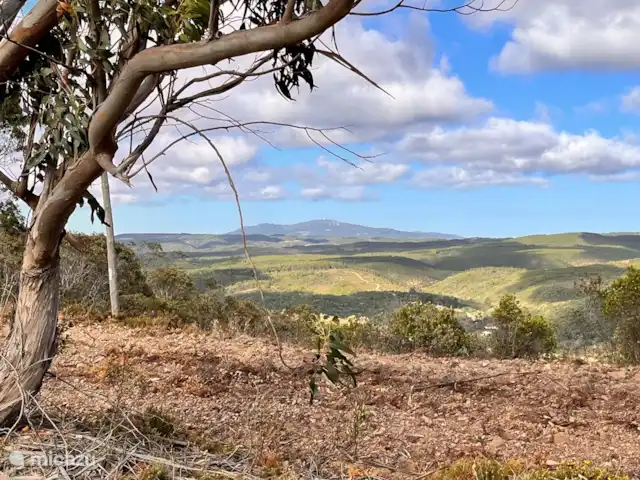 Casa de vacaciones Casa Rinsma en Portugal, Algarve, Vale da Telha - villa Vista de la Foia.