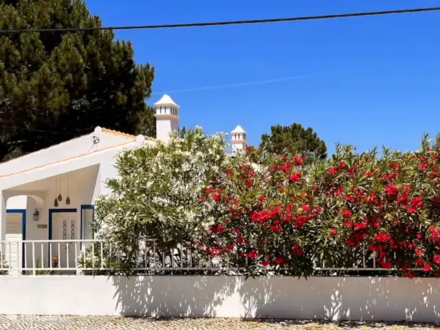 Casa de vacaciones Casa Rinsma en Portugal, Algarve, Vale da Telha - villa Adelfas en el jardín delantero