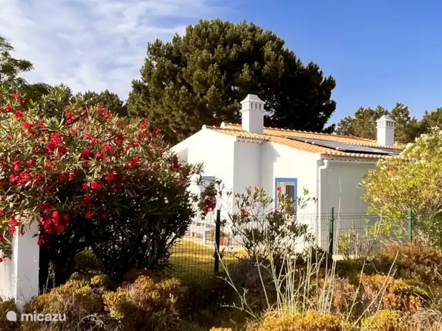 Casa de vacaciones Casa Rinsma en Portugal, Algarve, Vale da Telha - villa Trozo de naturaleza libre a la derecha.