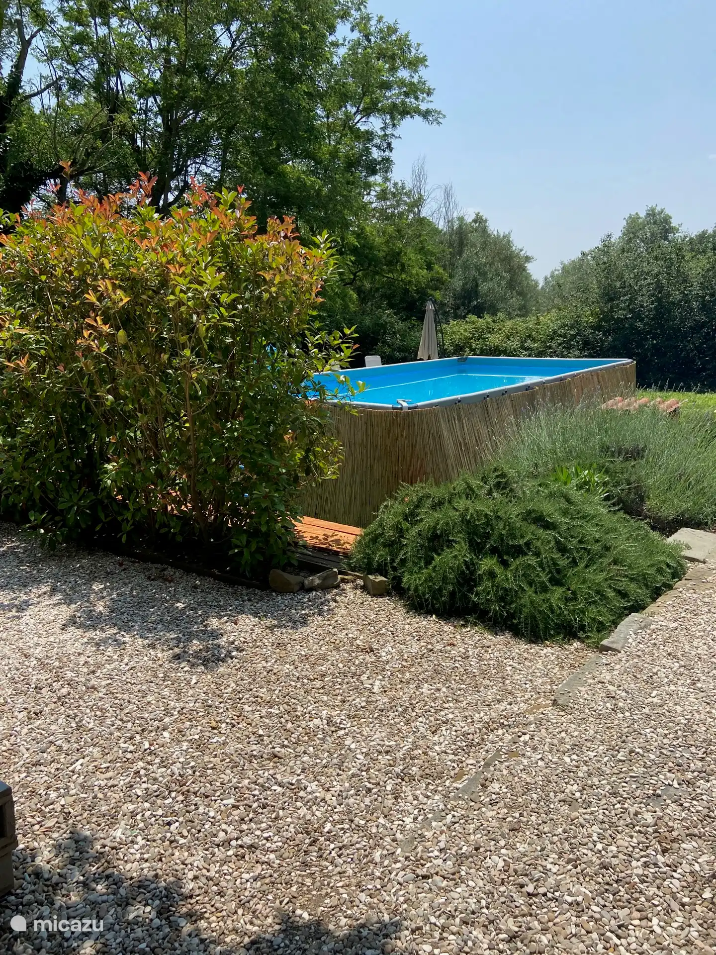 Garten mit Swimmingpool