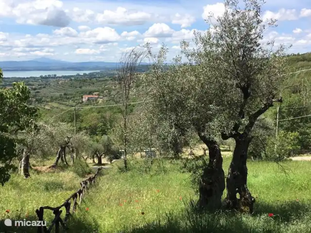 Villa Roccace - La Cantina | Italie, Ombrie, Tuoro sul Trasimeno - studio Environnement Villa