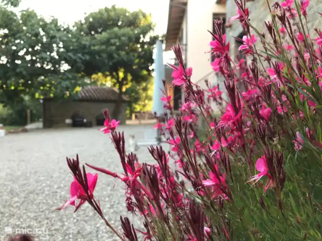 Villa Roccace - La Cantina | Italie, Ombrie, Tuoro sul Trasimeno - studio Cour avant