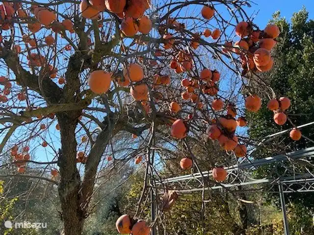 Villa Roccaccia - Il Magazzino | Italie, Ombrie, Tuoro sul Trasimeno - studio Kaki