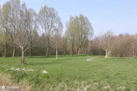 Vakantiehuis Nederland, Zeeland, Sint Annaland vakantiehuis Taandemeulen bos