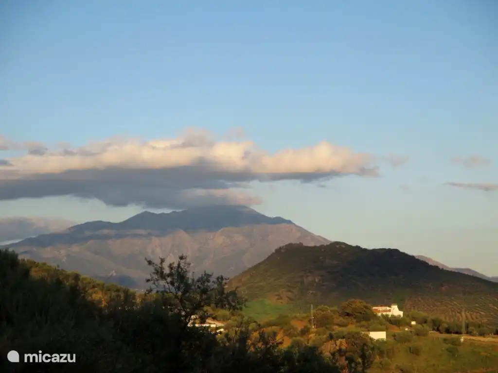Esta es la vista desde la casa.
