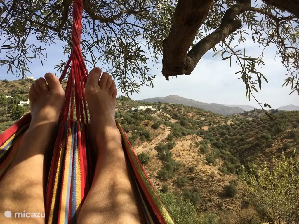 Relájate y disfruta en la hamaca.