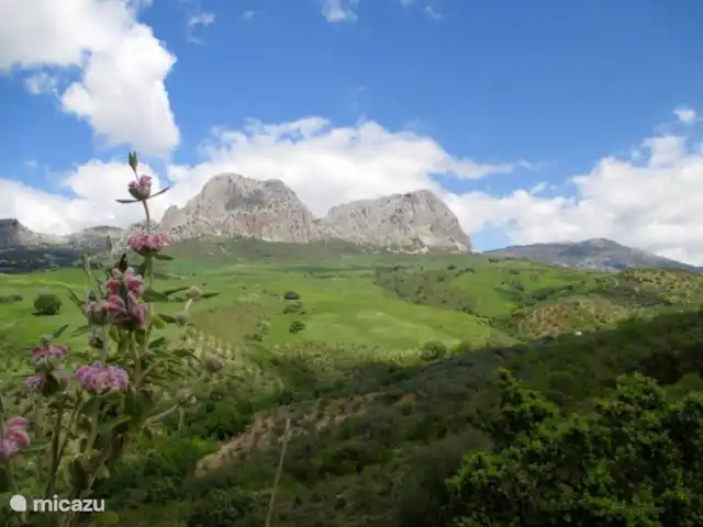 casa la chaparra en España, Andalucía, Riogordo - casa vacacional Doña Ana y Comer