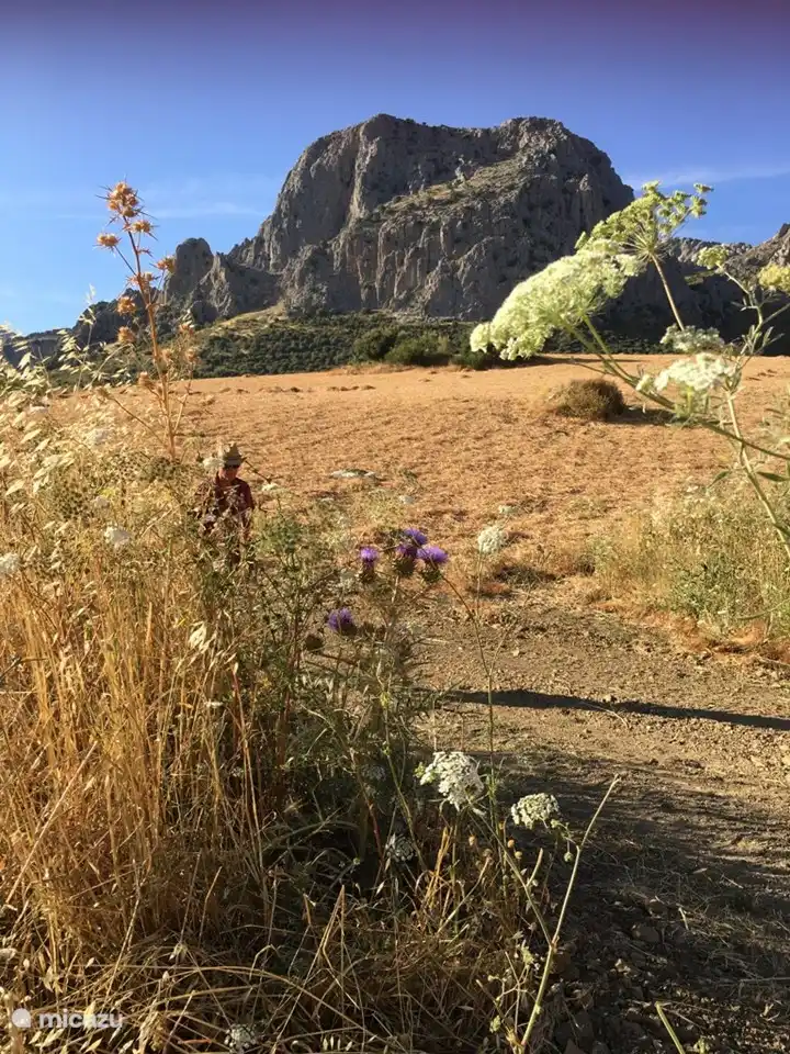 Las montañas características de Riogordo. Maravilloso en el paseo.