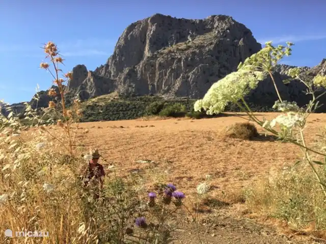 casa la chaparra en España, Andalucía, Riogordo - casa vacacional Las montañas características de Riogordo. Maravilloso en el paseo.