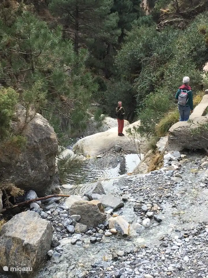 El paseo a la Fuente, El Satillo