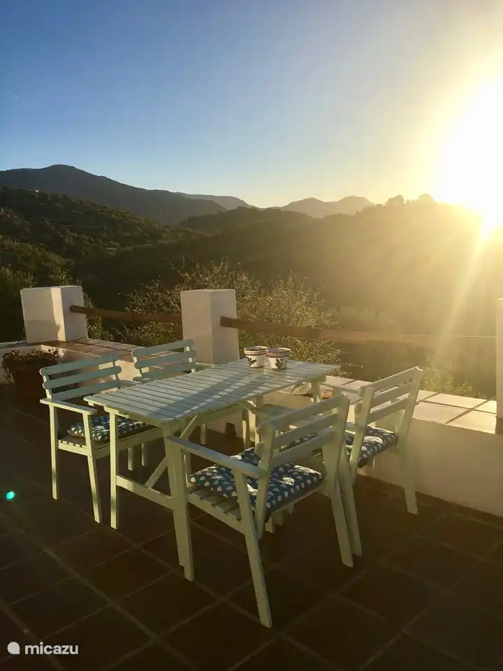 ¡Tan maravilloso bajo el sol de la mañana!