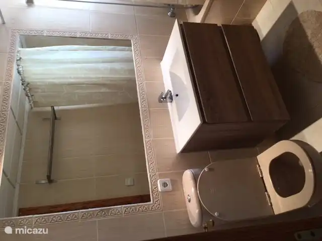 bathroom with shower and small bathtub