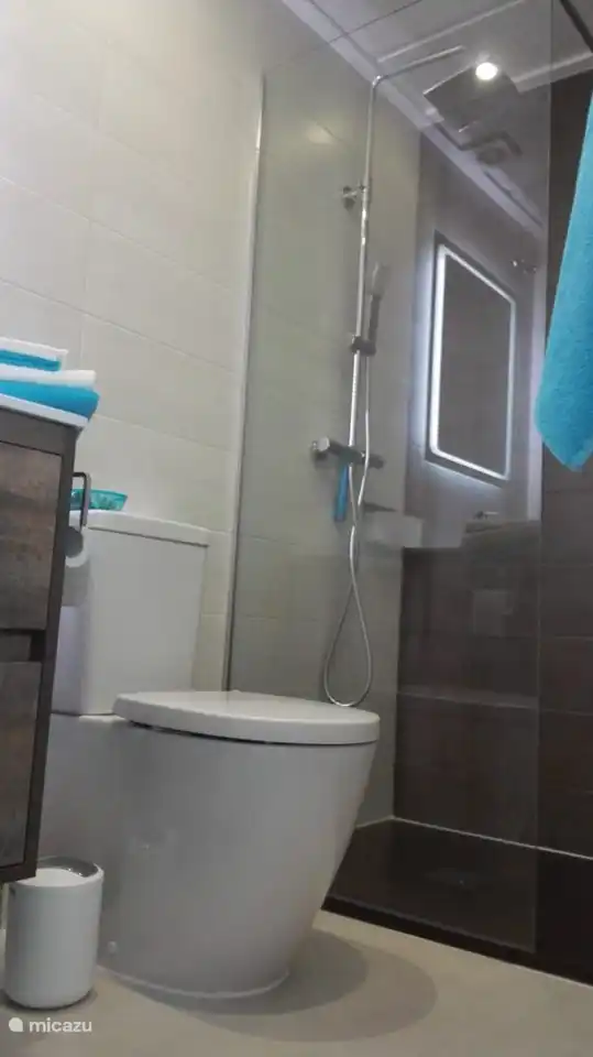 Das Badezimmer gehört zum Hauptschlafzimmer