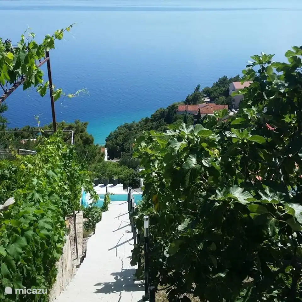 stairs v parking space to the apartments