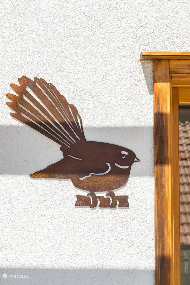 Fantail a New Zealand bird