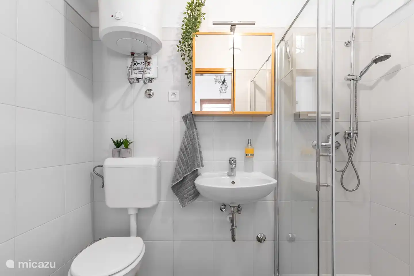 Bathroom Fantail Apartment