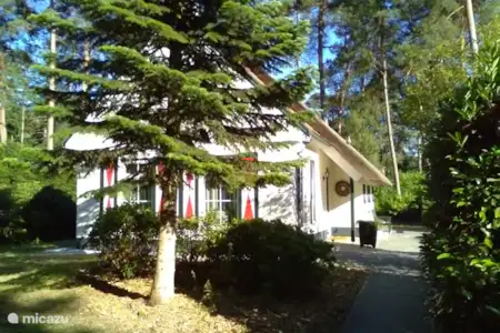 Download Vakantiehuis In Dwingeloo Drenthe Nederland Huren Micazu For iPhone Free Get Wallpaper Vakantiehuis In Dwingeloo Drenthe Nederland Huren Micazu For Free