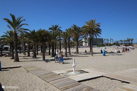 La plage de sable d'Arenal