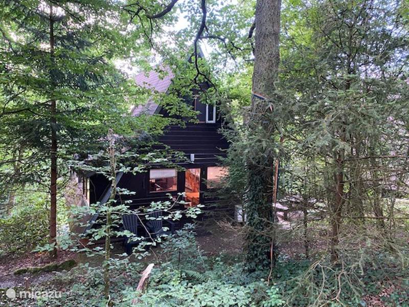 Vakantiehuis België, Ardennen, Durbuy Vakantiehuis Vakantiehuisje in het bos