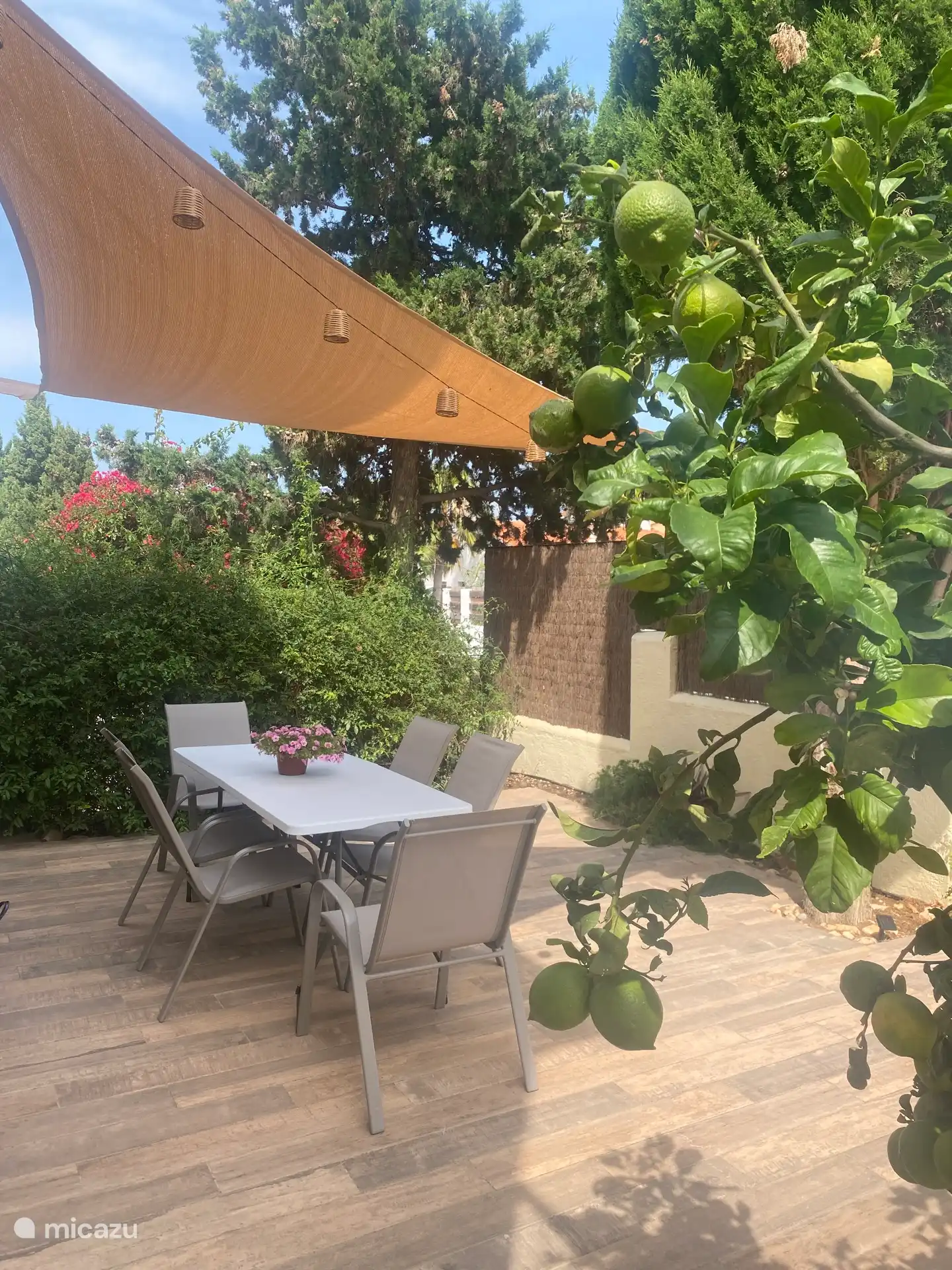 Côté terrasse de la maison. 