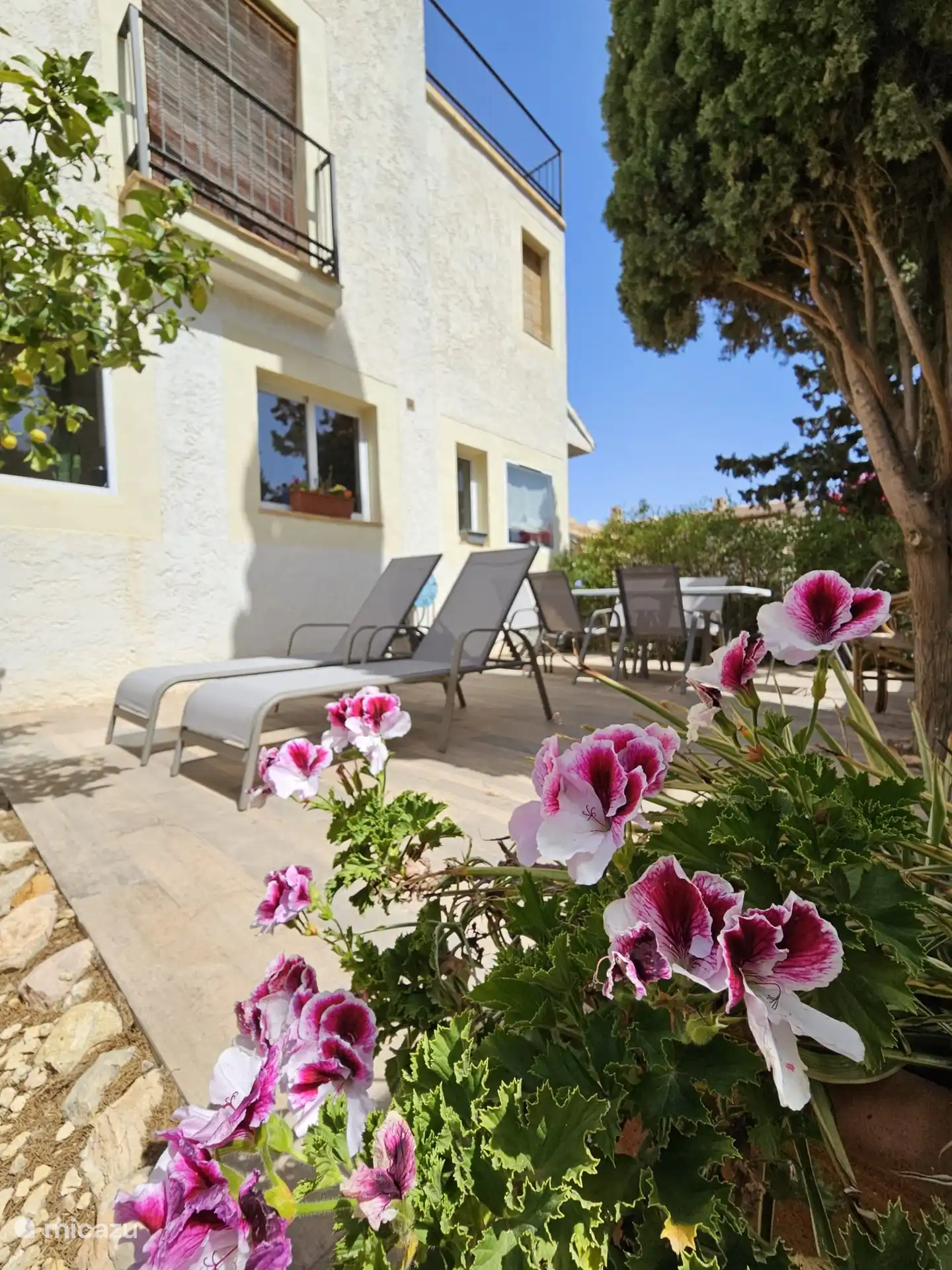 L’une des terrasses