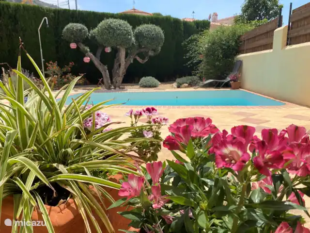 Maison Méditerranéenne | Espagne, Costa Blanca, Albir - chalet Arrière-cour