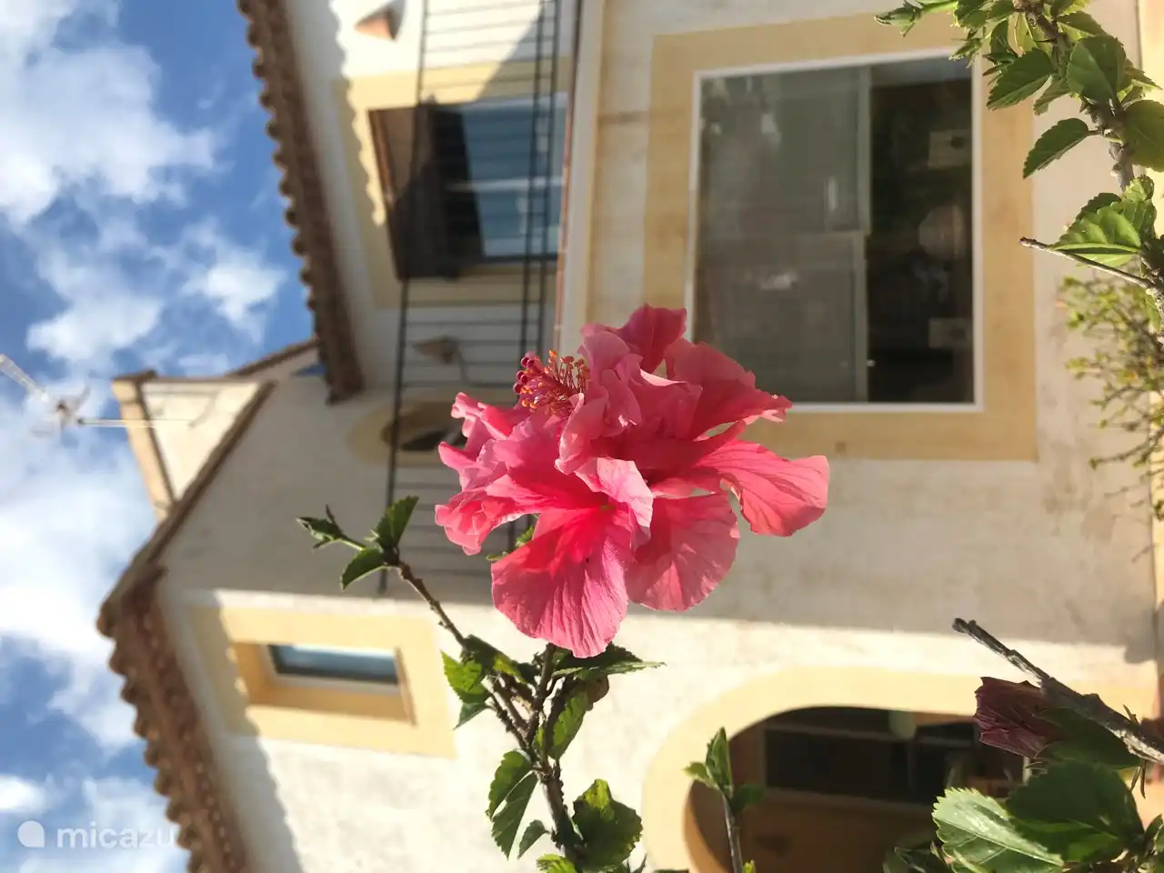 Vue de la terrasse de la chambre principale