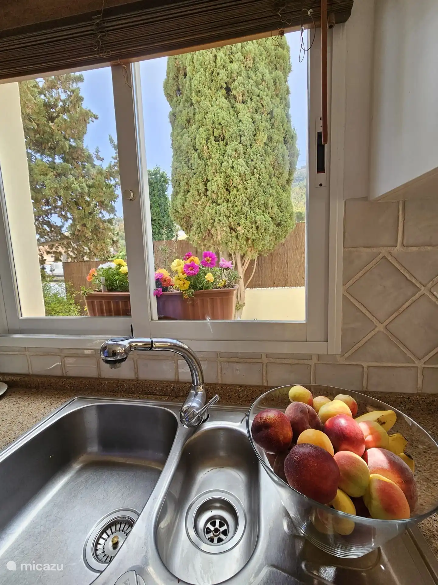 Fenêtre de la cuisine avec vue sur le jardin