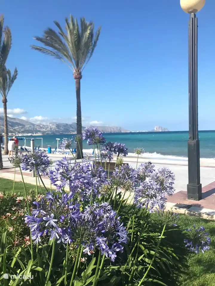 Promenade de l'Albir