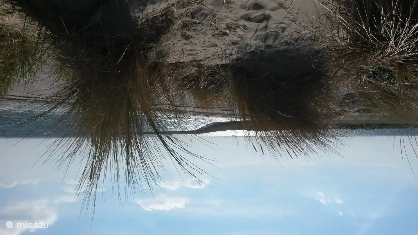 Si beau! Plage d'Ouwerkerk avec dunes pour profiter du soleil en toute intimité !