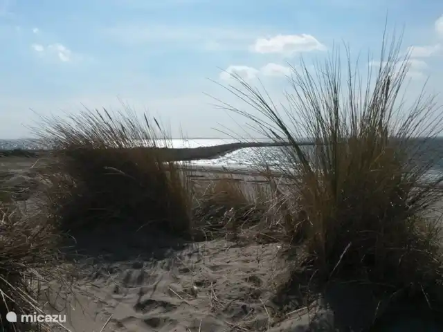Weids uitzicht huren in Nederland, Zeeland, Ouwerkerk - bungalow Zo mooi! Strandje van Ouwerkerk met duinen om in alle privacy van de zon te genieten!