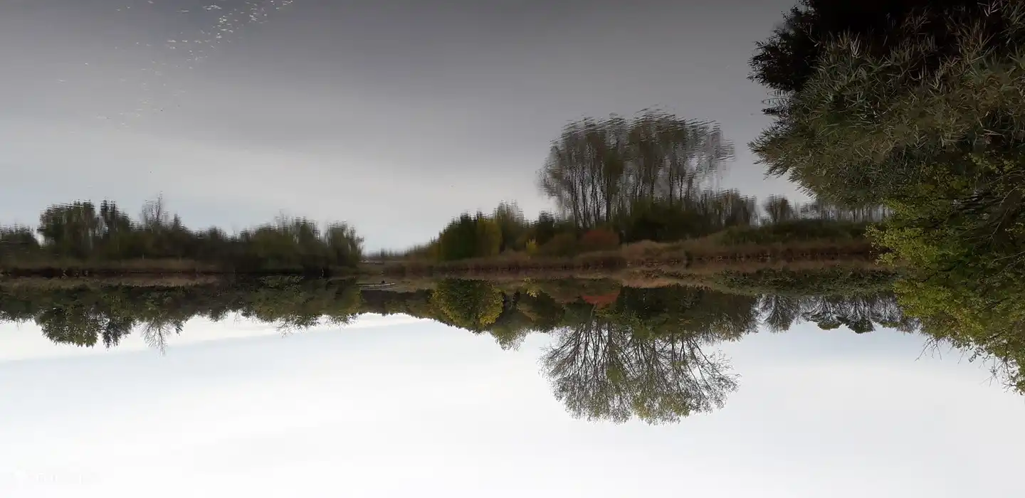 Zone de ruisseau aux couleurs d'automne
