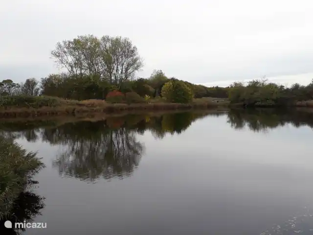 Weids uitzicht huren in Nederland, Zeeland, Ouwerkerk - bungalow Krekengebied met herfstkleuren