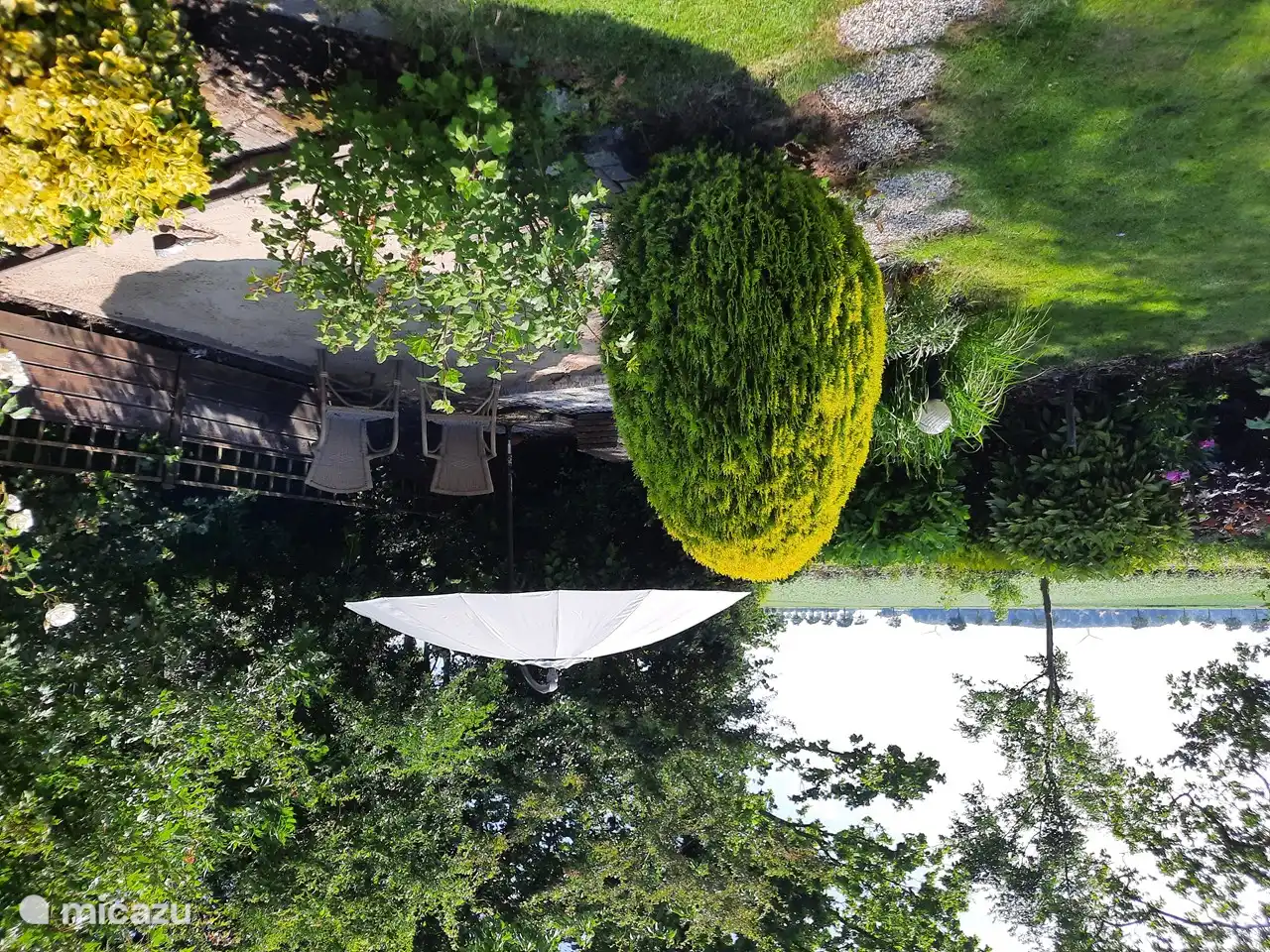 Terrasse dans la cour arrière