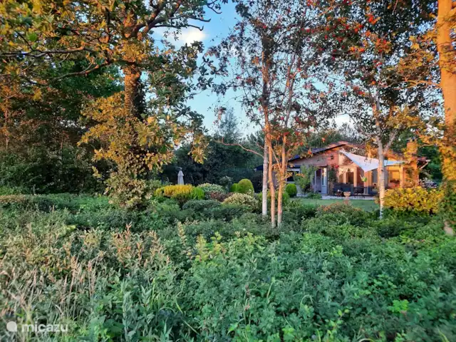 Weids uitzicht huren in Nederland, Zeeland, Ouwerkerk - bungalow Midden in de natuur!