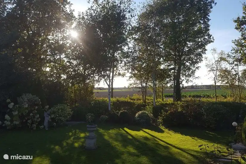 Large vue de la cour arrière