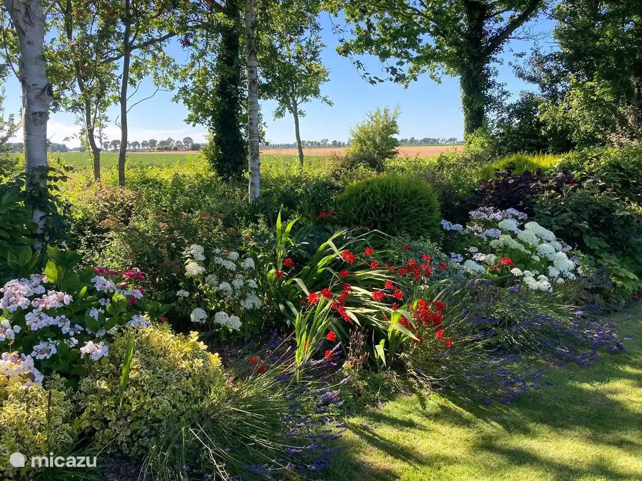 Fleurs et terres agricoles