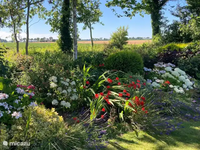 Weids uitzicht huren in Nederland, Zeeland, Ouwerkerk - bungalow Bloemen en boerenland
