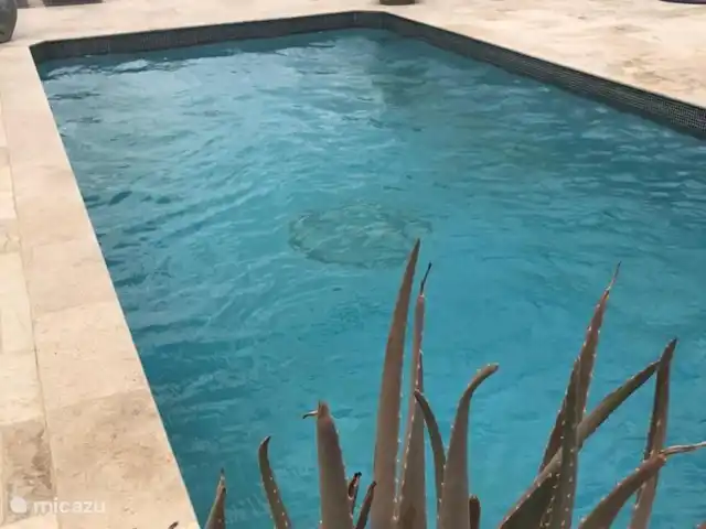 villa huren in Bonaire, Bonaire, Hato – Villa Buena, Prachtige luxe villa