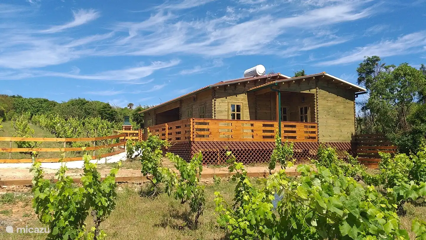 Cabana Girassol in vineyard