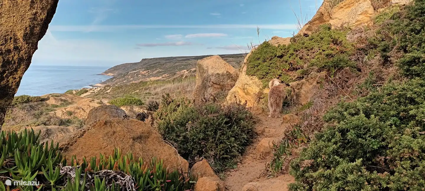 lovely strolling in the beautiful cliffs
