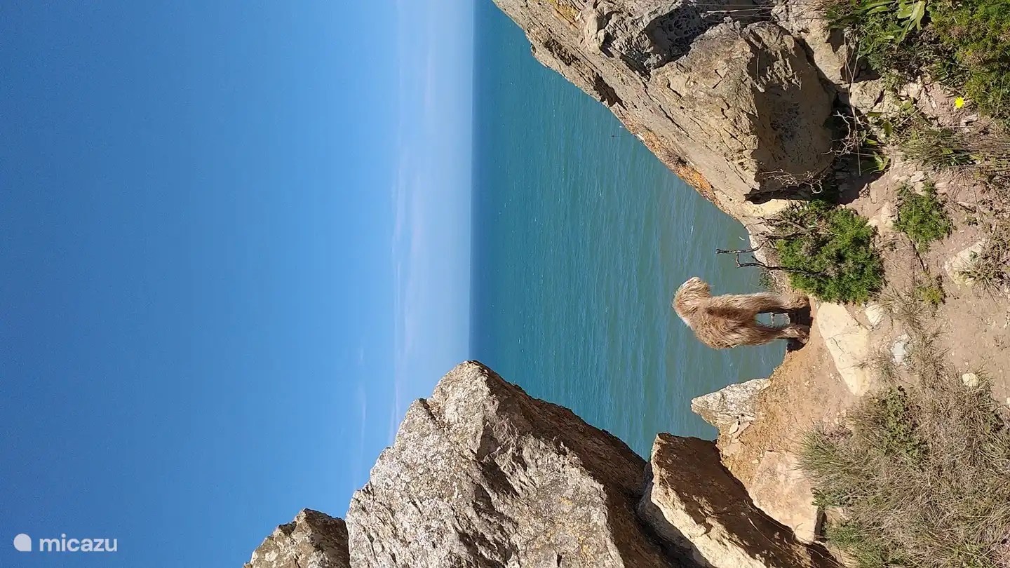 lovely stroll along the ocean