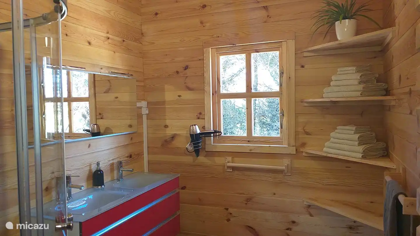 Spacious bathroom with shower cabin and double sink