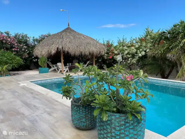 Villa Blou-Berde | Bonaire, Bonaire, Belnem - villa Piscine, porche et palapa