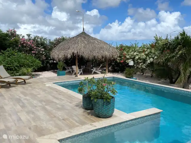 Villa Blou-Berde | Bonaire, Bonaire, Belnem - villa Piscine, solarium et palapa