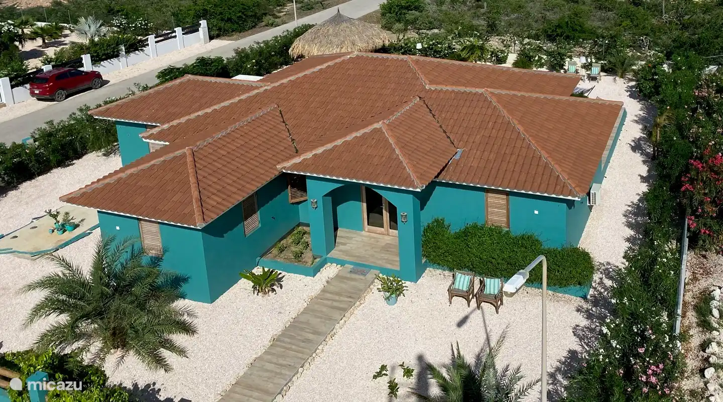 Vue d'ensemble recto (août 2020 - les plantes ont énormément poussé, voir autres photos)